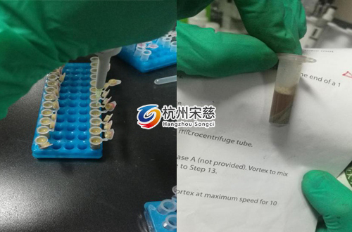<a href=http://www.anbomachinery.com/prouduct/lengdong/ target=_blank class=infotextkey>冷凍研磨儀</a>